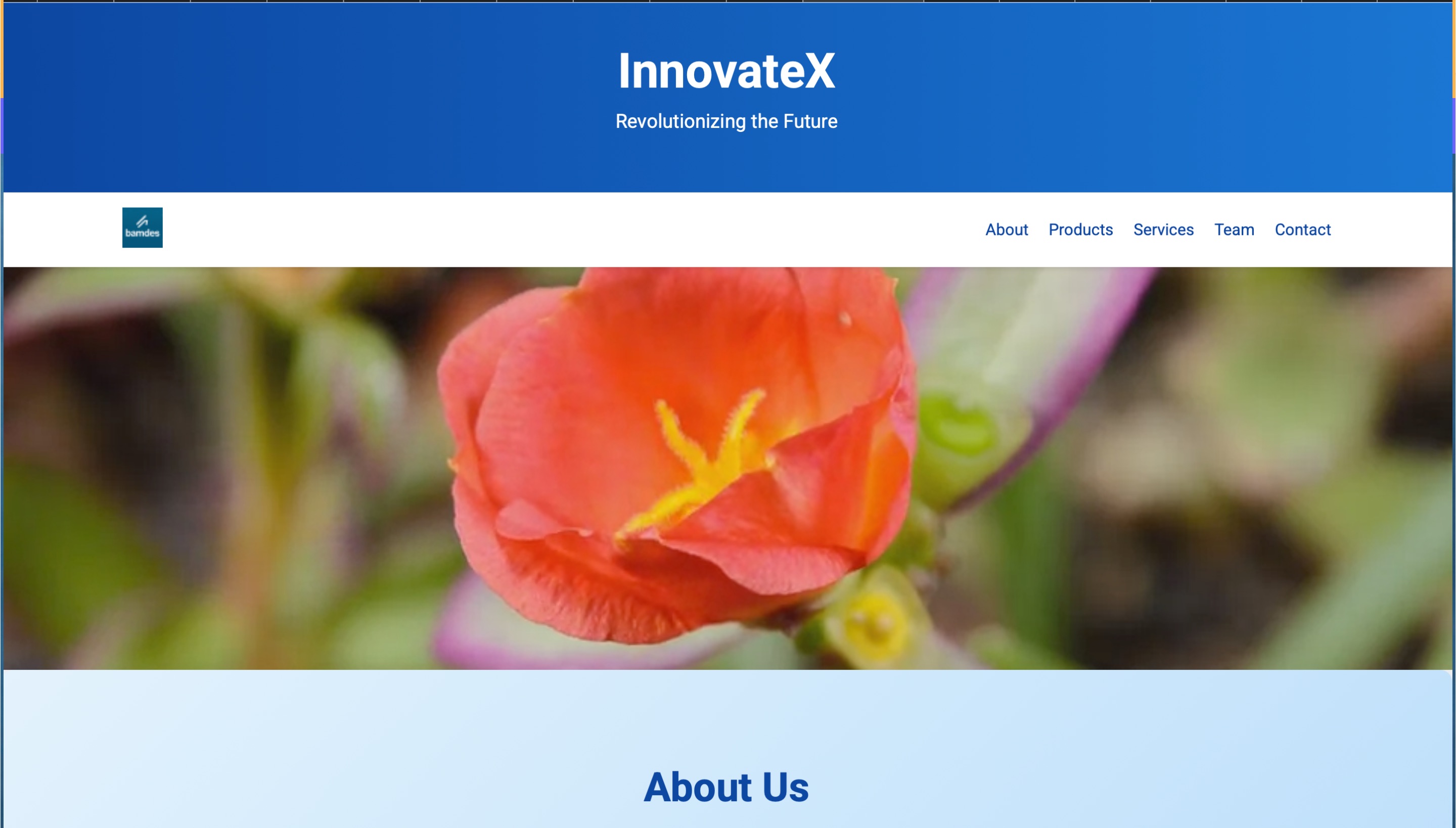 Tech / Software