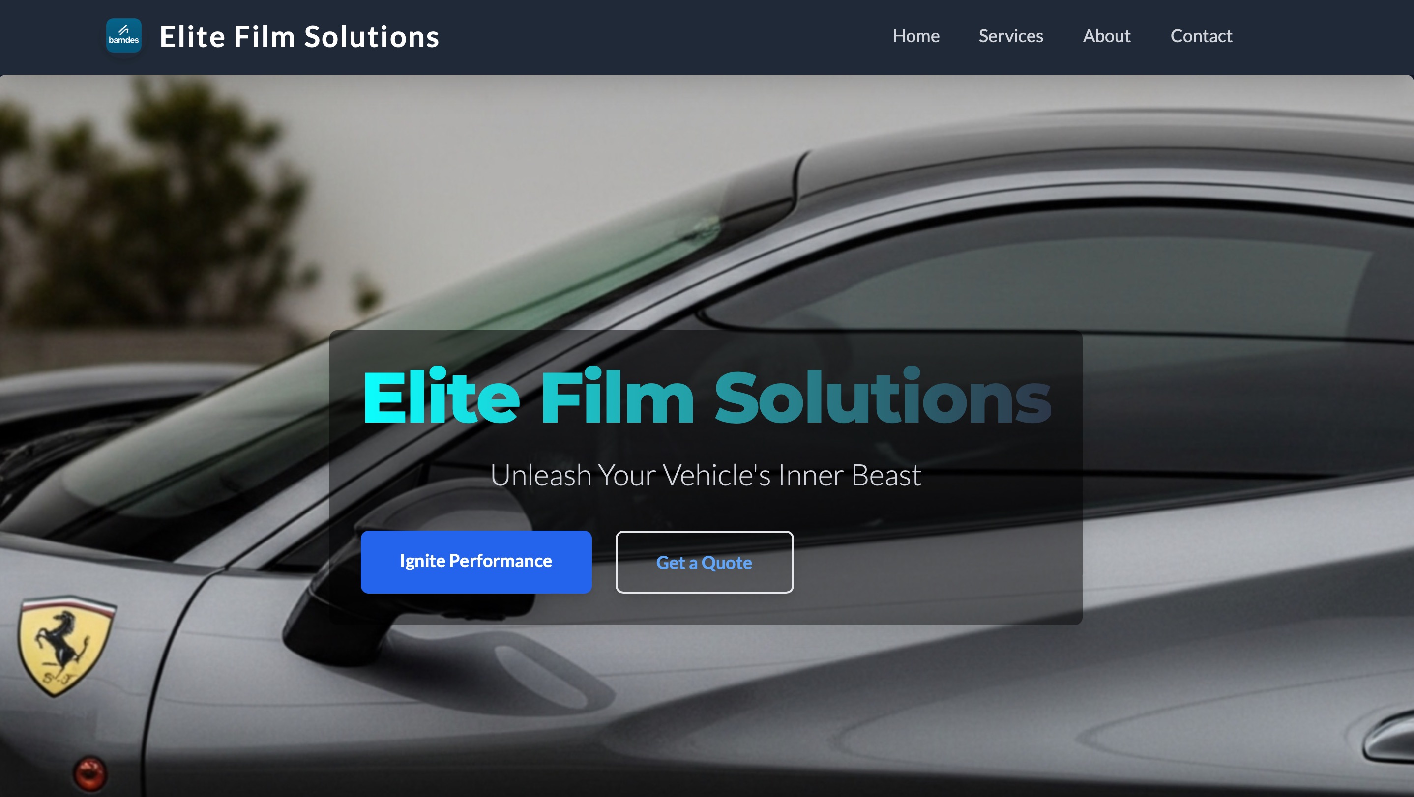 car-tint